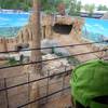 7.6.2017 Výlet do Zoo Plasy 2 5