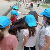 19.6.2025 Farmapark U Toma 24